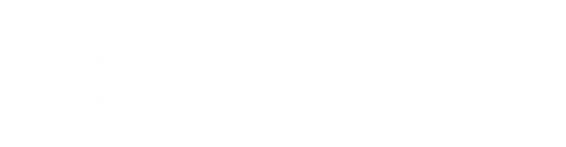 logo koduleht valge lõigatud